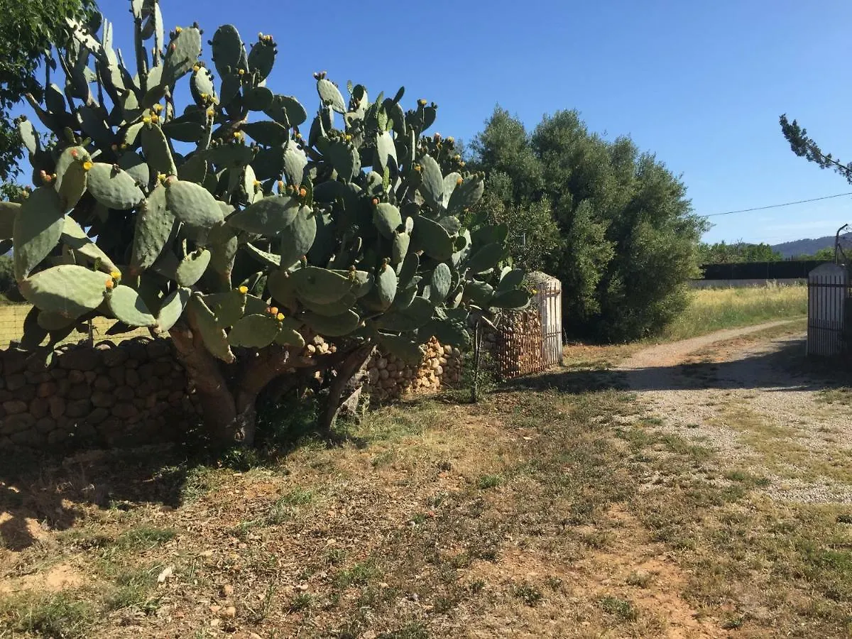 Bonita Casa De Campo Sa Vinya Para Relax Y Piscina Privada Inca  Spanien